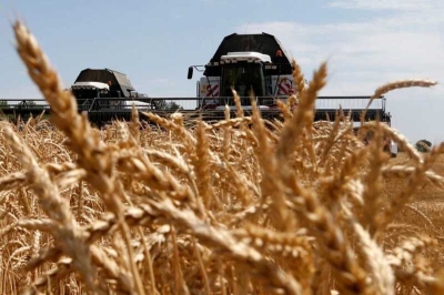 Российским аграриям в 10 раз повысят «налог» на импортные комбайны